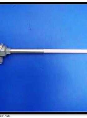 锅炉热电偶WRP130