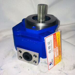 供应CBK1016 齿轮泵 A1FB