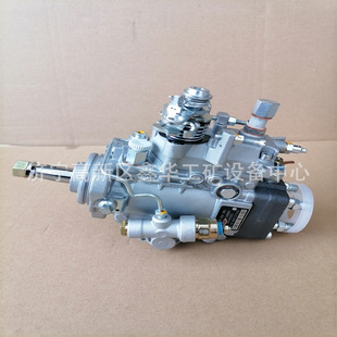 7346 现货供应VE泵总成196000 246 1960005020 2467346 5020