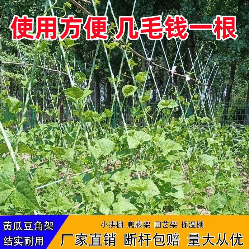 豆角爬藤架月季豆角拱门菜园植物竹子支撑杆种菜花架豇豆支架杆子