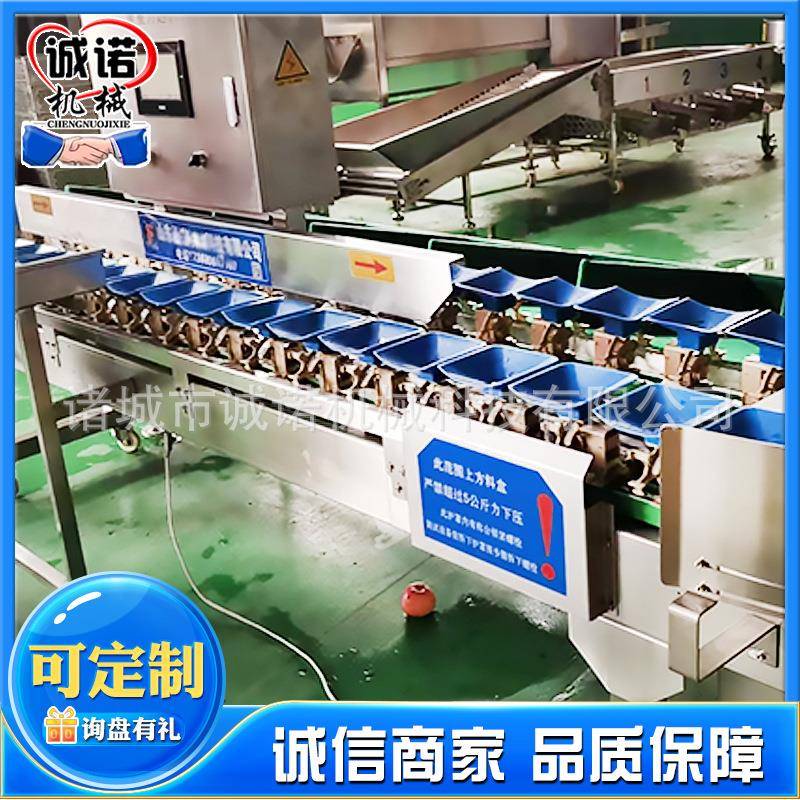 全自动果蔬大小分选机海鲜转盘式分选机家禽鸡翅重量分级机