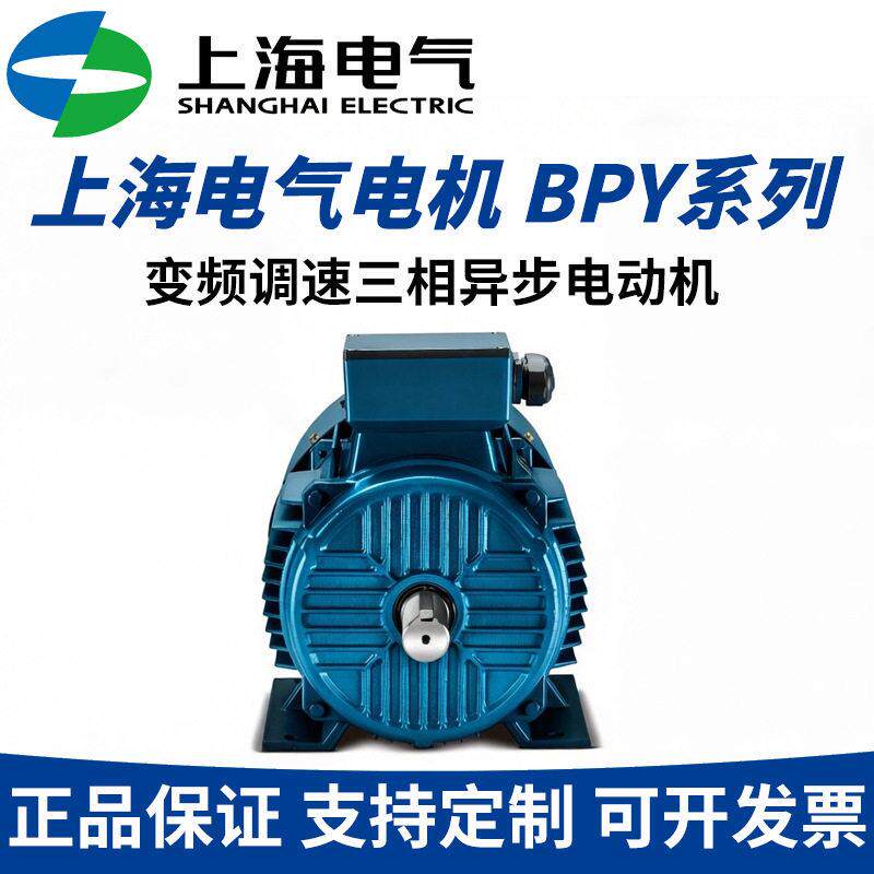 上海电气BPY-315L1-2160W变频调速电机可替换YVF/YP/YPT老电机