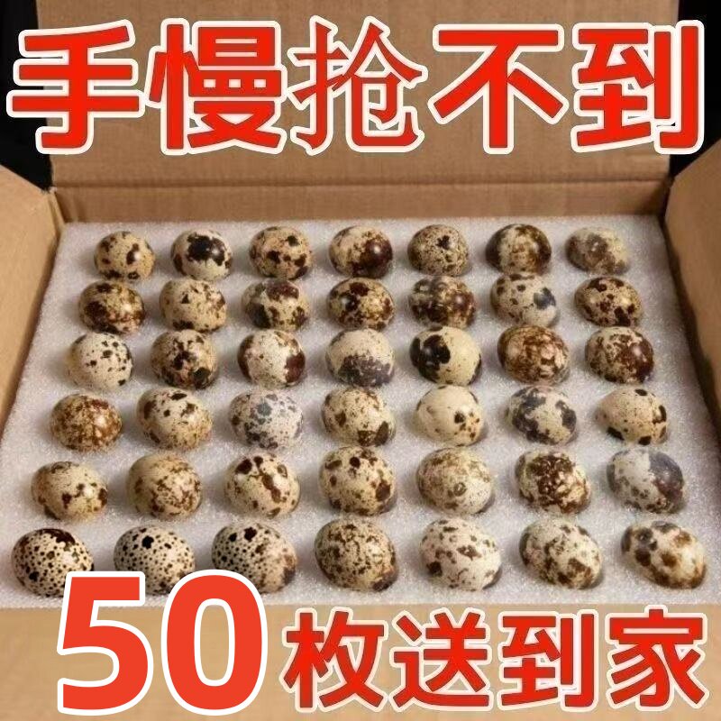 新鲜鹌鹑蛋杂粮喂养现捡现发【50枚】营养丰富口感细腻家禽蛋类
