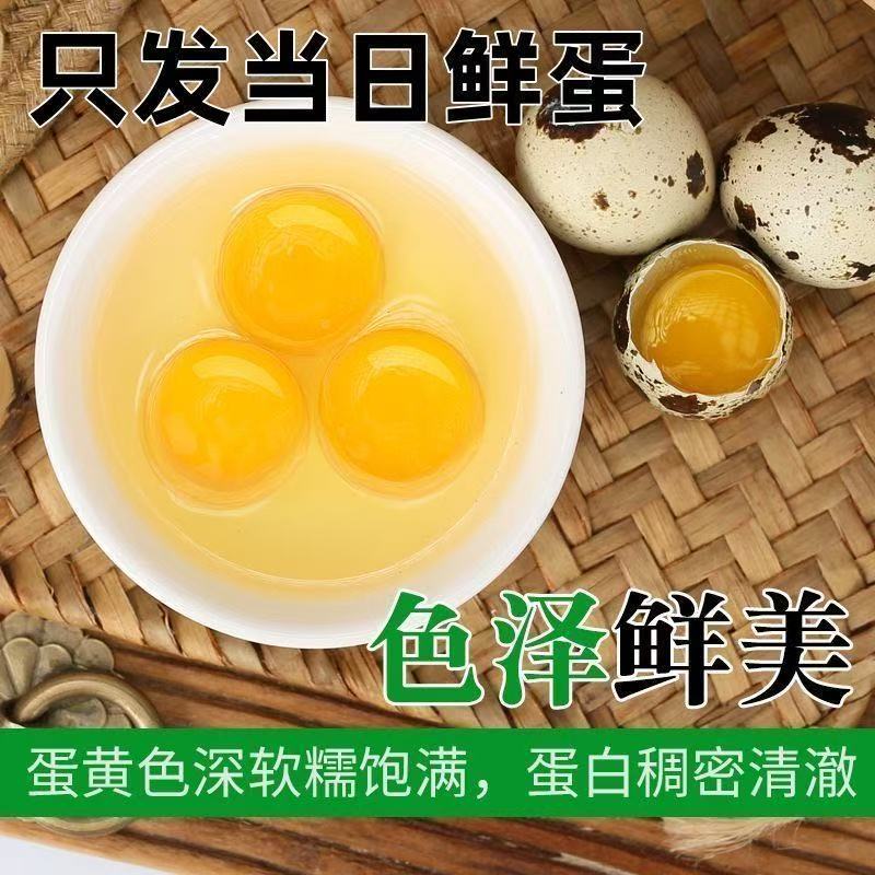 人工精选【50枚】新鲜生鹌鹑蛋农家现捡现发整箱批发孕婴可食