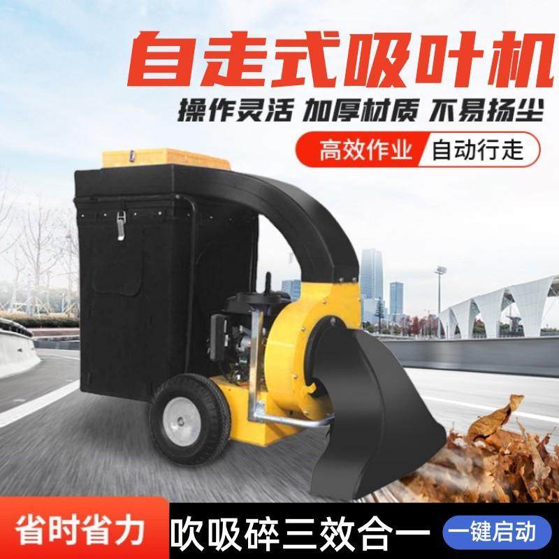 自走式环卫吸叶机道路树叶收集车手推式落叶清理吸扫机自动吸叶机