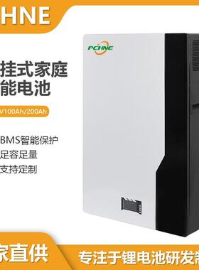 壁挂式家庭储能电池51.2V100AH全新A品亿纬磷酸铁锂电芯5度10度电