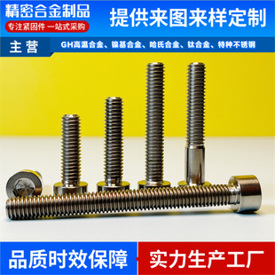 904L外六角螺丝耐腐蚀不锈钢电厂脱硫塔螺栓M6M8M10M12M14M16螺杆