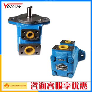 广东广液叶片泵YB 单泵双泵三联泵油泵液压泵高压叶片泵 E25