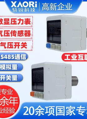 精密压力表16MPa高压型APS-2521PCG地暖压力表2分工业互联网