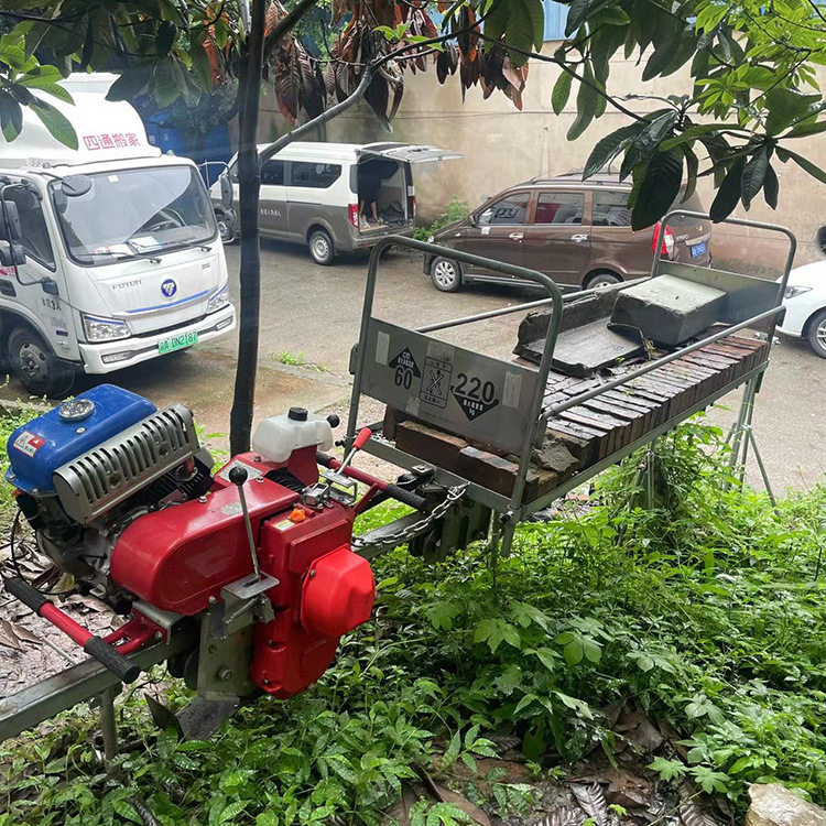 果园茶园物资单轨运输车大马力山路丘陵梯田爬坡搬运货物轨道车