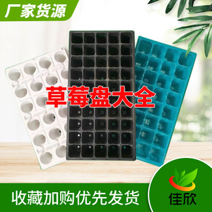 白色蓝色黑色24孔滴灌带草莓加厚育苗盘秧苗盘50孔桉树塑料穴盘