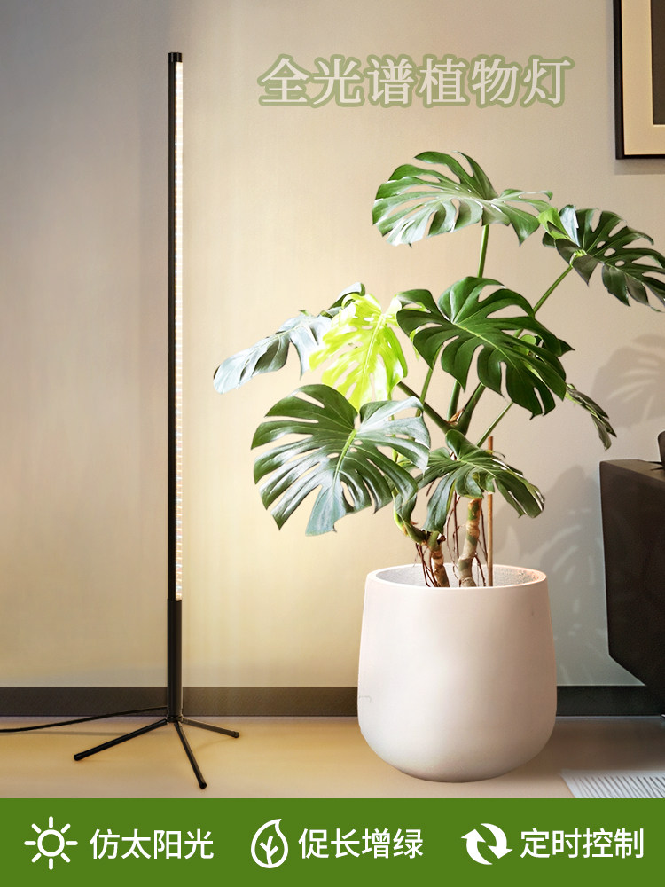 红色太阳落地式植物补光灯模彷模拟阳光全光谱家用室内绿色植物热