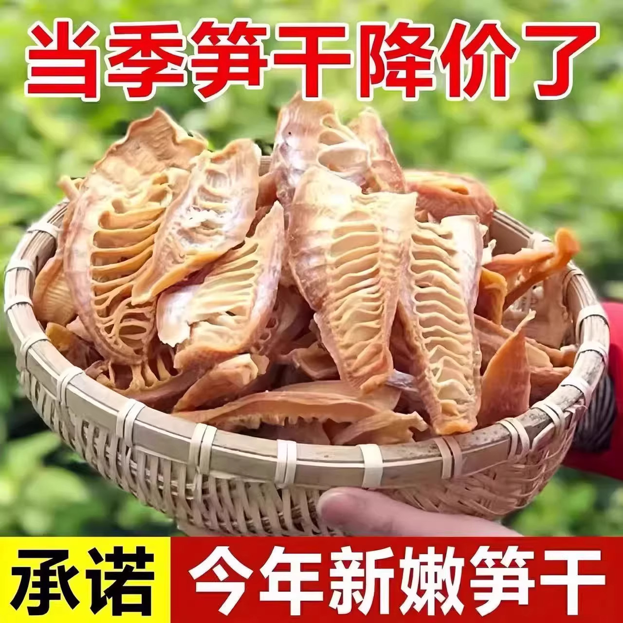 500g笋干干货农家自制竹笋干玉兰片干笋笋尖天目山土特产散装干货