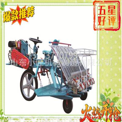 厂家现货插秧机 水育苗扶机2Z-4300JCH型手稻种式水稻插秧机各型