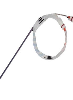 Thermo赛默飞 164940 Acclaim PepMap 100 C18 HPLC 色谱柱