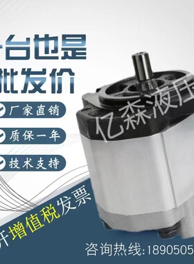 布雷维尼BREVINI齿轮泵OT200P04/06/08/11/14/16/20/22/25/28/30