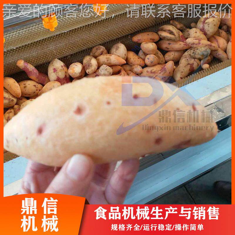 毛辊牛蒡清洗机 HRF生毛姜去皮 清洗设备土豆刷去皮清机洗