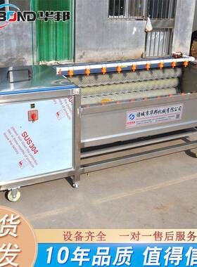 番石榴毛清机 菱角辊毛刷清洗洗机 带HB7000喷钢淋不锈毛辊清洗设