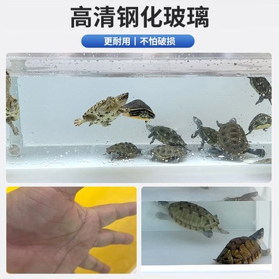 乌龟养殖缸PP塑料透明轻体观赏玻璃养殖龟箱带爬梯排水产蛋池排缸