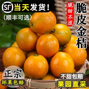 广西融安脆皮金桔鲜果10应当季新鲜水果甜蜜金柑小金橘子特产整箱