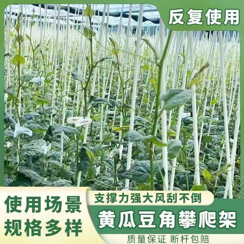 黄瓜搭架杆西红柿立杆玻璃纤维塑料豆角豇豆芸豆四季豆番茄爬藤杆