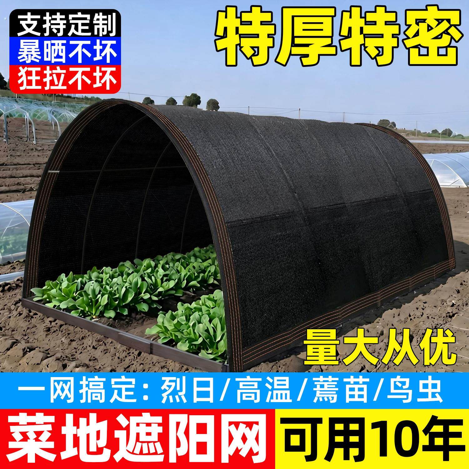菜地种菜专用遮阳网加密加厚防晒网大棚庭院农用植物太阳网遮阳布