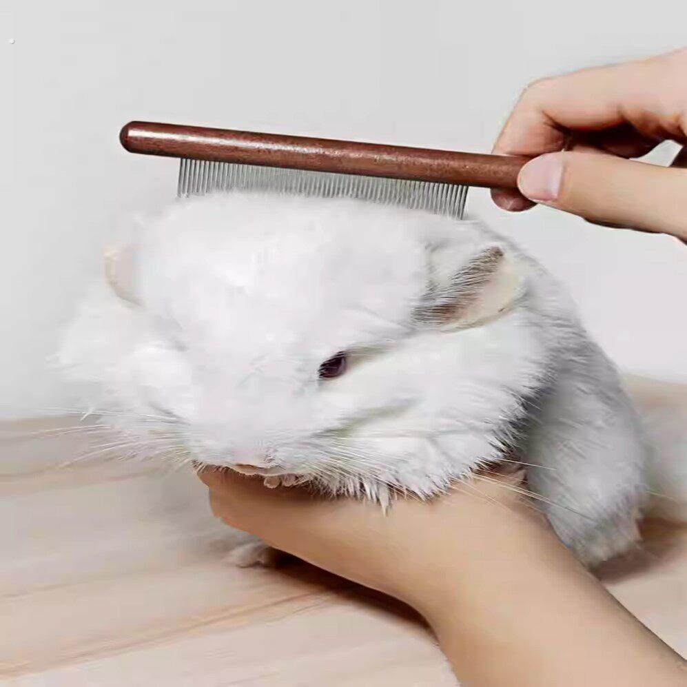 龙猫小宠物洗澡专用梳子宠物兔兔用品荷兰猪兔子清洁梳毛器按摩器