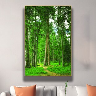 优选竖版树林森林绿色护眼自然风景画过道走廊挂画树木玄关招财装