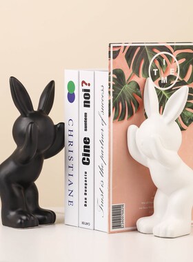 优选现代轻奢高级感客厅书档摆件装饰品酒柜办公室桌面书房书柜小