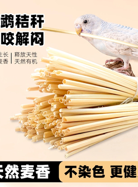 鹦鹉啃咬鸟类玩具天然小麦秸秆玄凤牡丹虎皮天然解闷自嗨娱乐磨牙