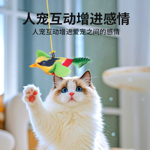 猫咪【发声玩具】叫叫鸟