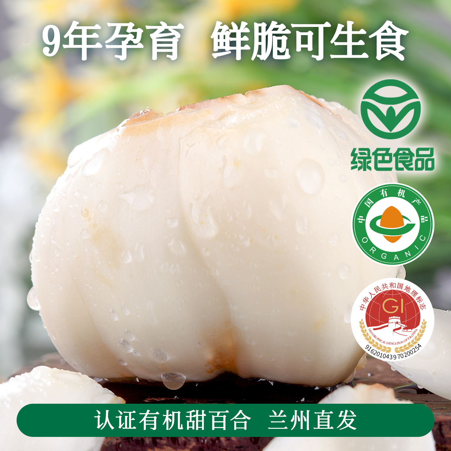 兰州有机鲜百合片80g*3新鲜采摘