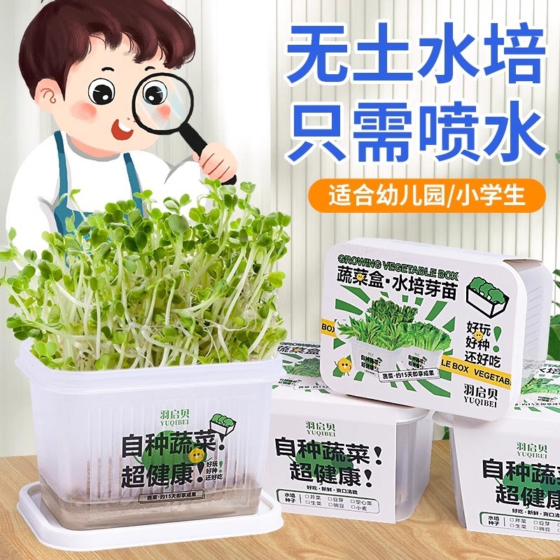 植物生长观察盒儿童科学小实验套装绿豆发芽小学生趣味幼儿园玩具