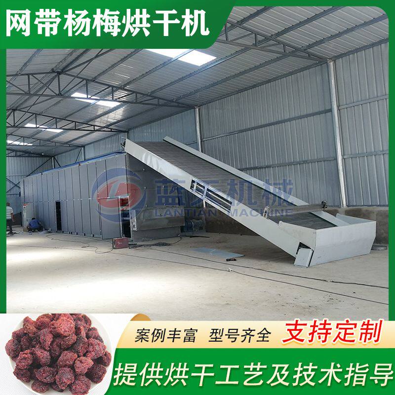 杨梅干烘干设备 大型树梅白蒂梅水果干燥机 ?网带杨梅?烘干设备