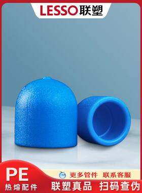 连素Pe水管配件全管热熔管帽塞头4点20点6点25点32给水管道