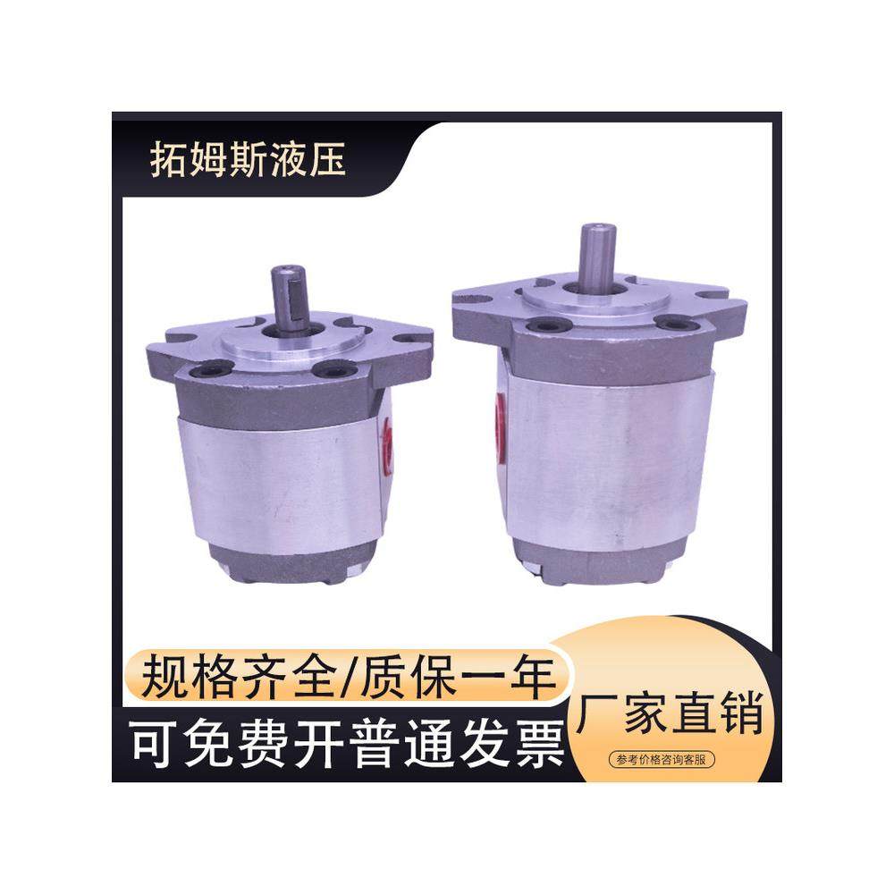 HGP齿轮泵HGP-1A-F8R HGP-1A-F4R 1R/2R/3R/5R/F6R液压高压油泵头