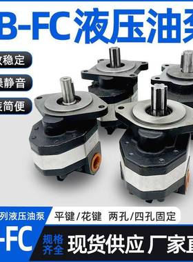 CB-FC25装载铲车齿轮泵CBFC10 20 32 40 50 63钢筋调直机液压油泵