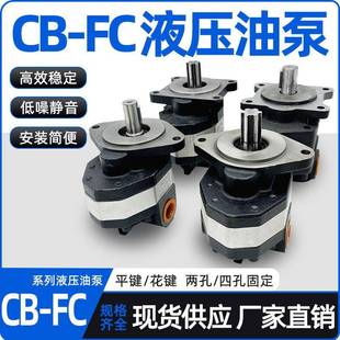 载铲车齿轮泵CBFC10 63钢筋调直机液压油泵 FC25装
