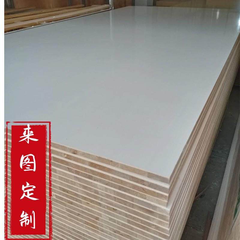 定制柜子书柜地柜办公置物架订做生态板刨花板木柜阳台柜订造鞋柜