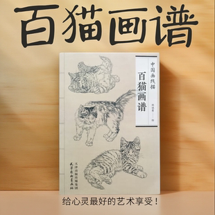 百猫画谱 中国画线描 绘画动物白描底稿 工笔底稿中国画线描 猫 天津杨柳青画社