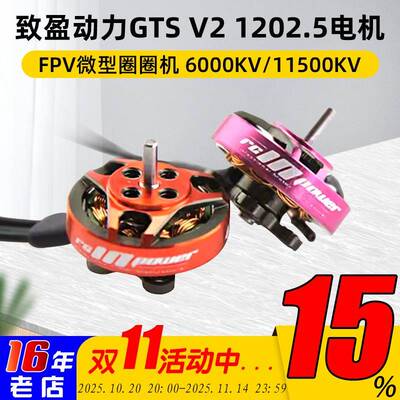 致盈动力GTSv2 1202.5小型迷你室内无刷FPV穿越机马达电机 2寸3寸