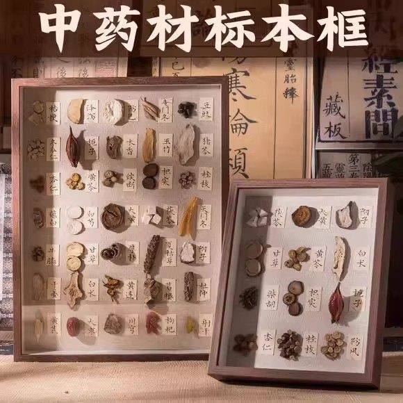 中药标本养生汤摆件相框