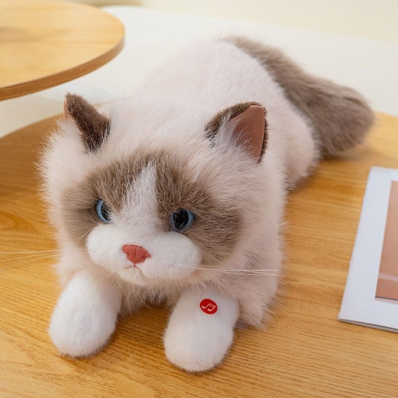 会叫的猫咪玩偶花波斯毛绒