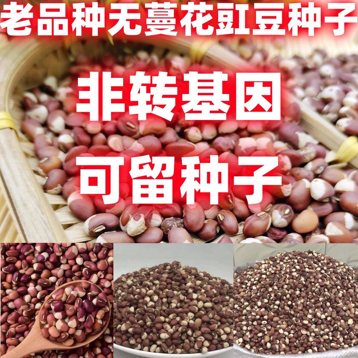 老品种无蔓花豇豆种子江豆种子花豆种子姜豆种子农家饭豆种子籽