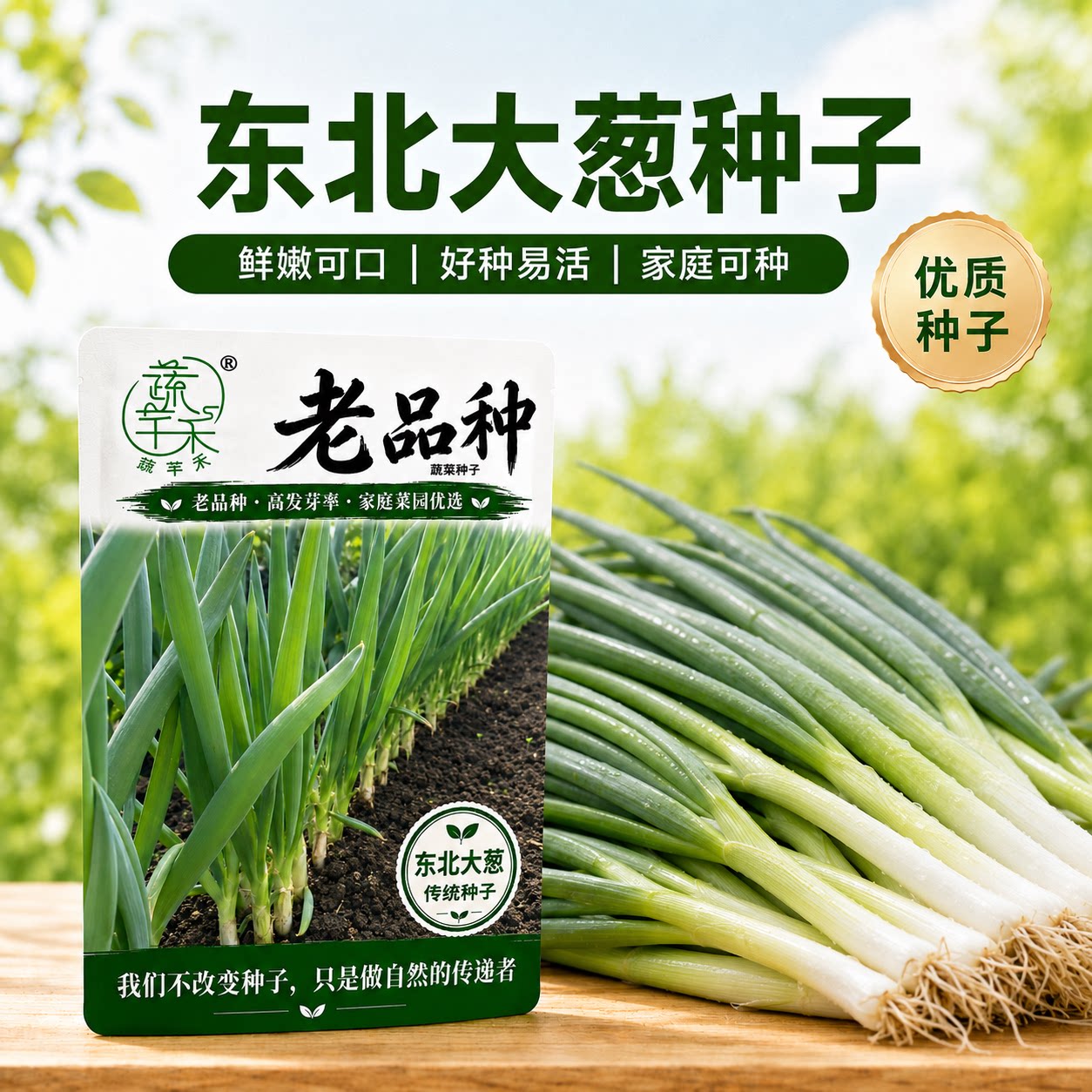 老品种东北大葱种子非转基因可留种大葱种籽蔬菜种子春秋种植