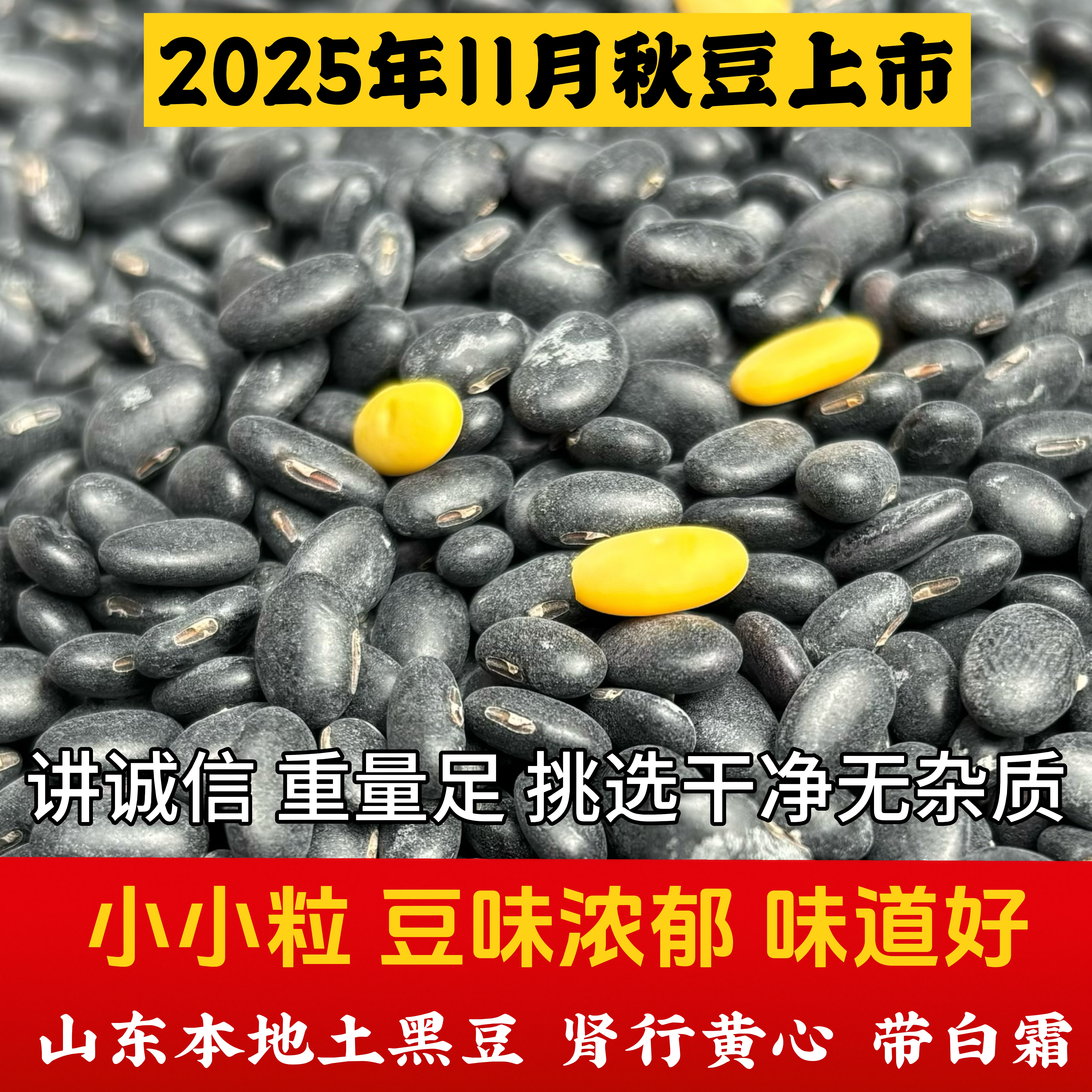 农家自种黑豆黄心肾形扁黑豆干炒醋泡专用小黑豆雄黑豆