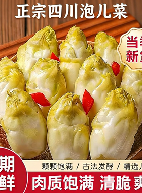 四川特产泡儿菜土坛泡儿菜古法泡菜老坛腌制泡菜下饭菜酸菜大头菜
