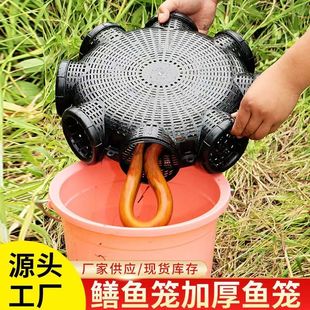 新型捕捉鱼笼鱼神器只进不出龙虾网笼抓黄鳝螃蟹泥鳅甲鱼网鱼渔网
