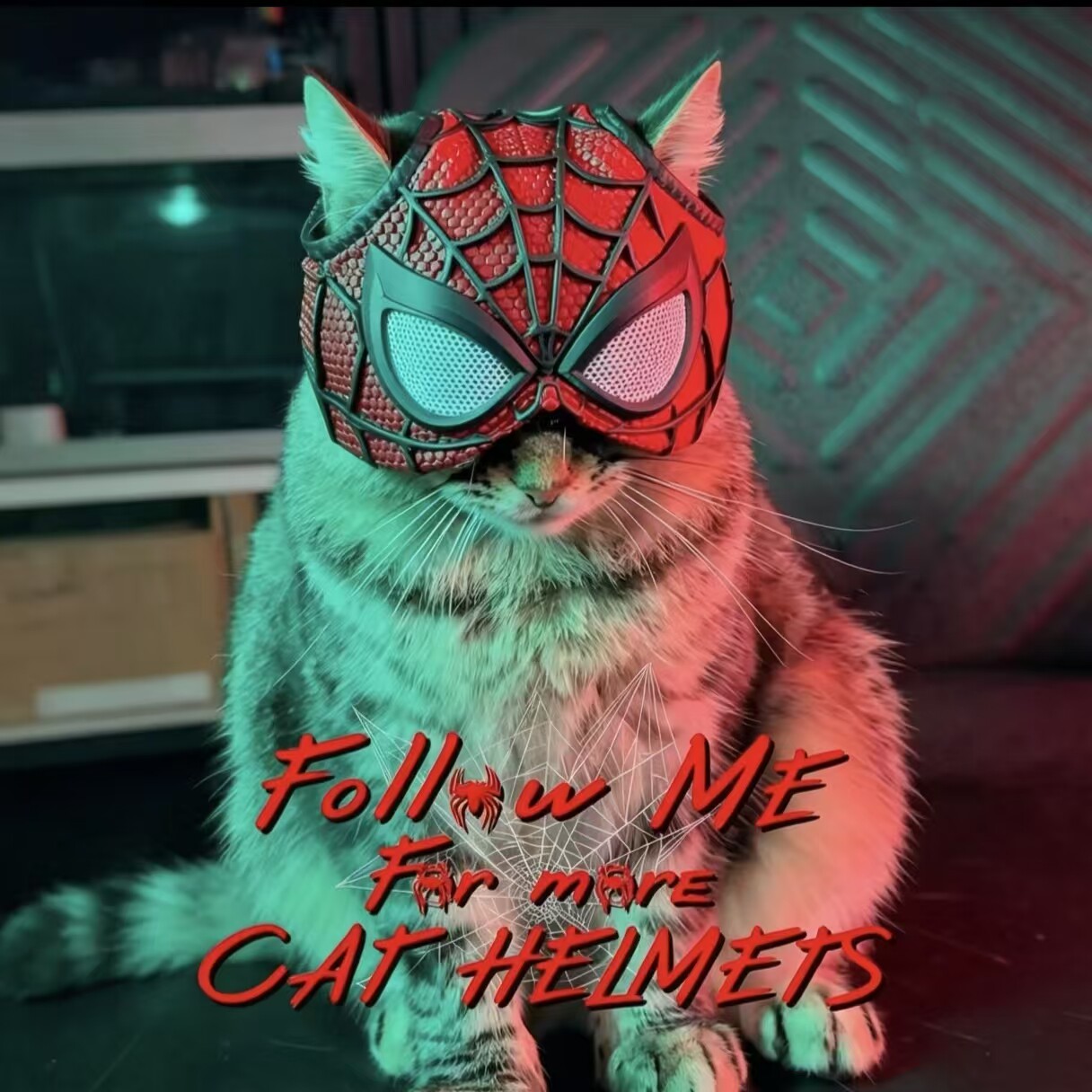 蜘蛛侠猫咪头盔宠物迷你面具趣味搞怪cosplay头套拍照出片小道具