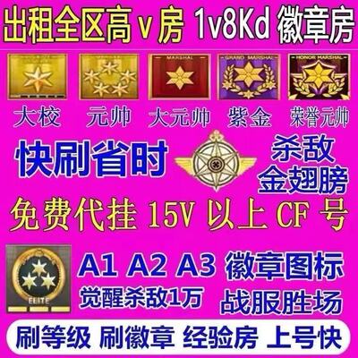 cf代练穿越火线端游经验等级代打排位荣誉元帅经验租房快刷安全分
